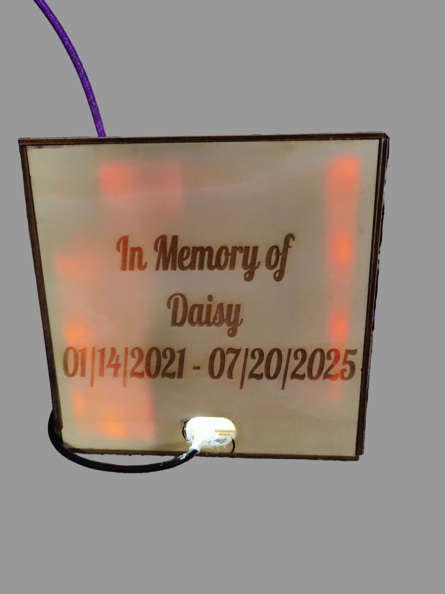 Pet Memorial lantern customized