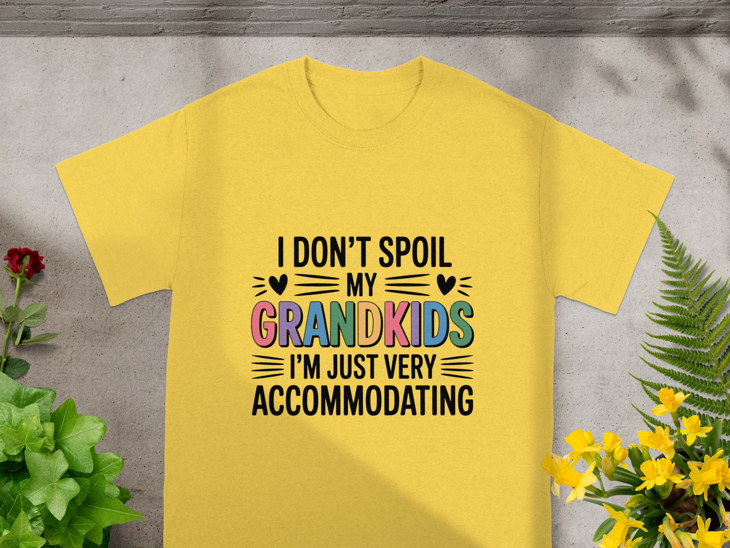 I Don't Spoil My Grandkids I'm Very Accommodating Shirt