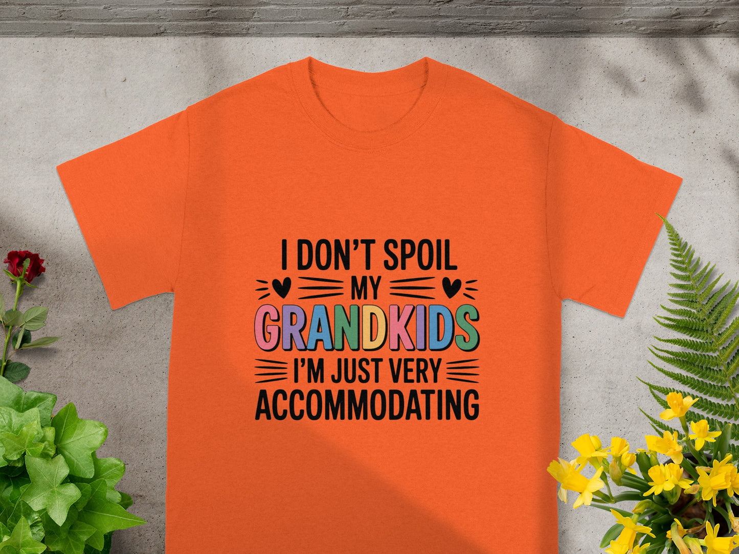 I Don't Spoil My Grandkids I'm Very Accommodating Shirt
